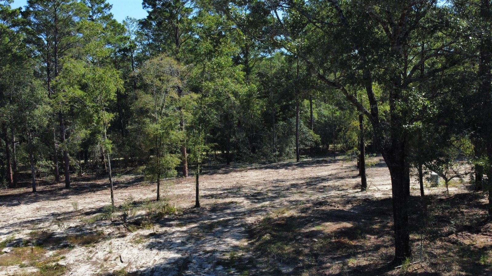 4005 Rock Hill Road, DeFuniak Springs, FL 32435