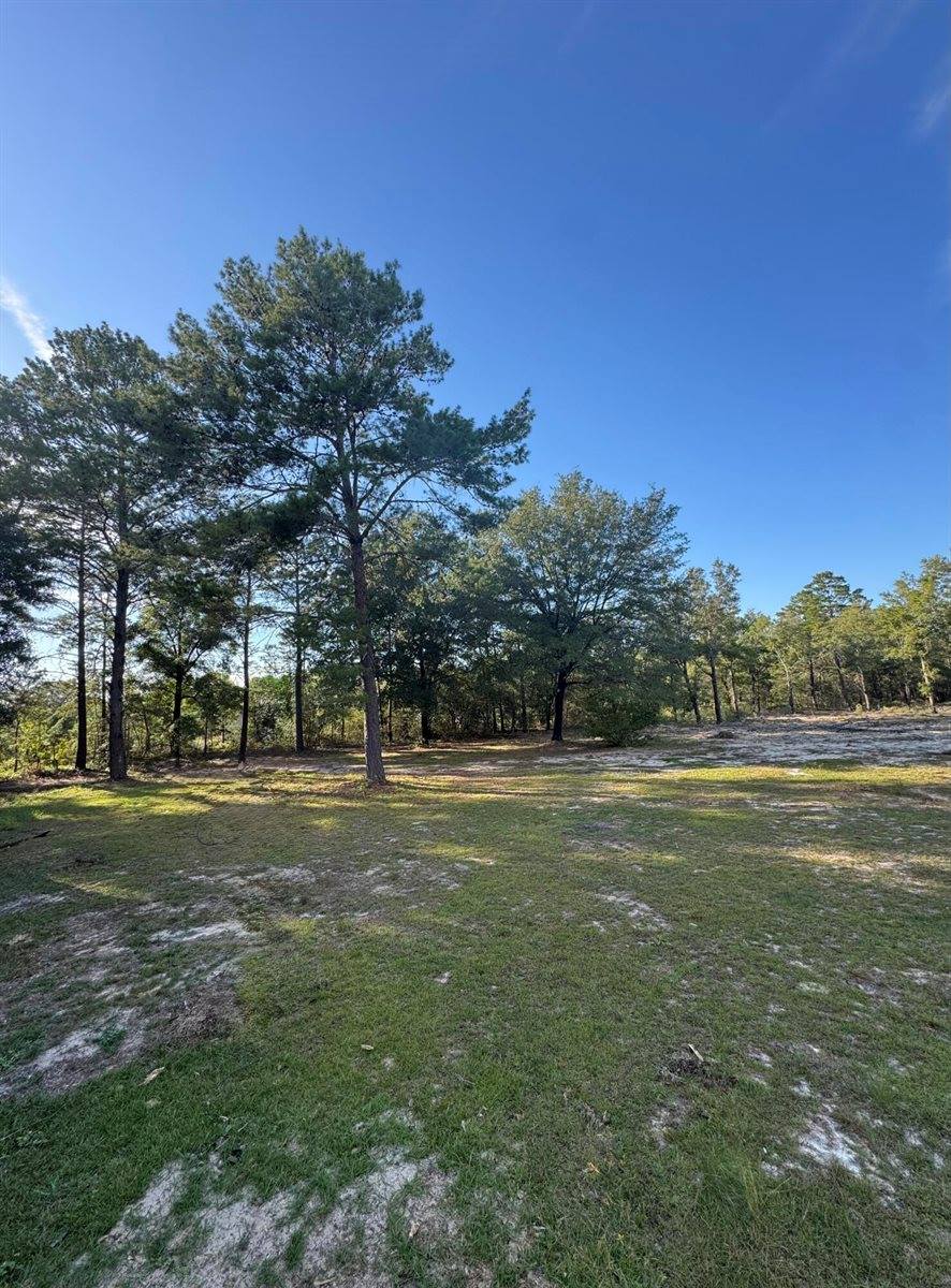 4005 Rock Hill Road, DeFuniak Springs, FL 32435