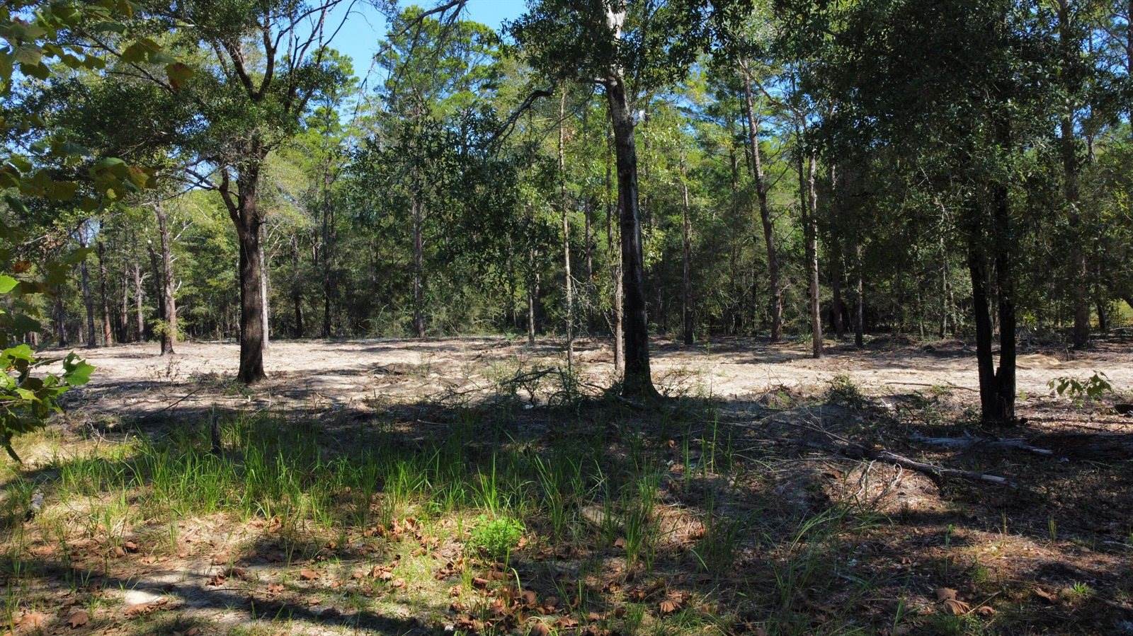 4005 Rock Hill Road, DeFuniak Springs, FL 32435