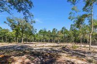 4005 Rock Hill Road, DeFuniak Springs, FL 32435