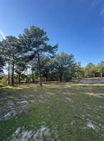 4005 Rock Hill Road, DeFuniak Springs, FL 32435