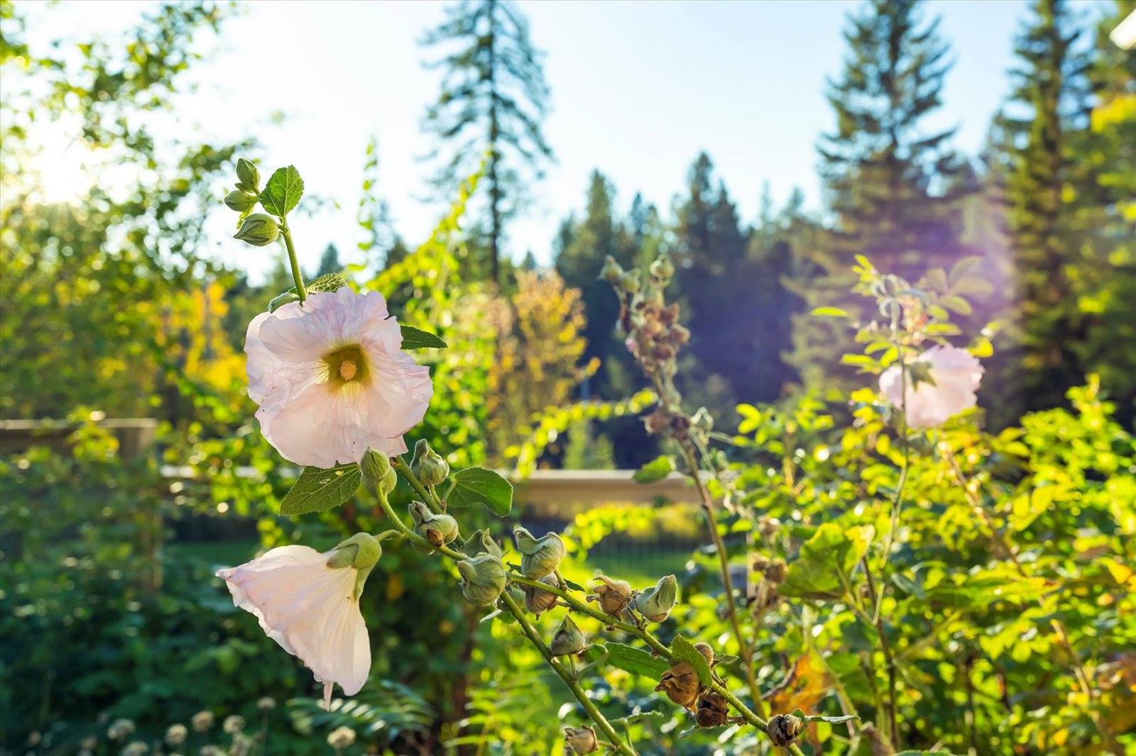 661 Latigo Lane, Bigfork, MT 59911