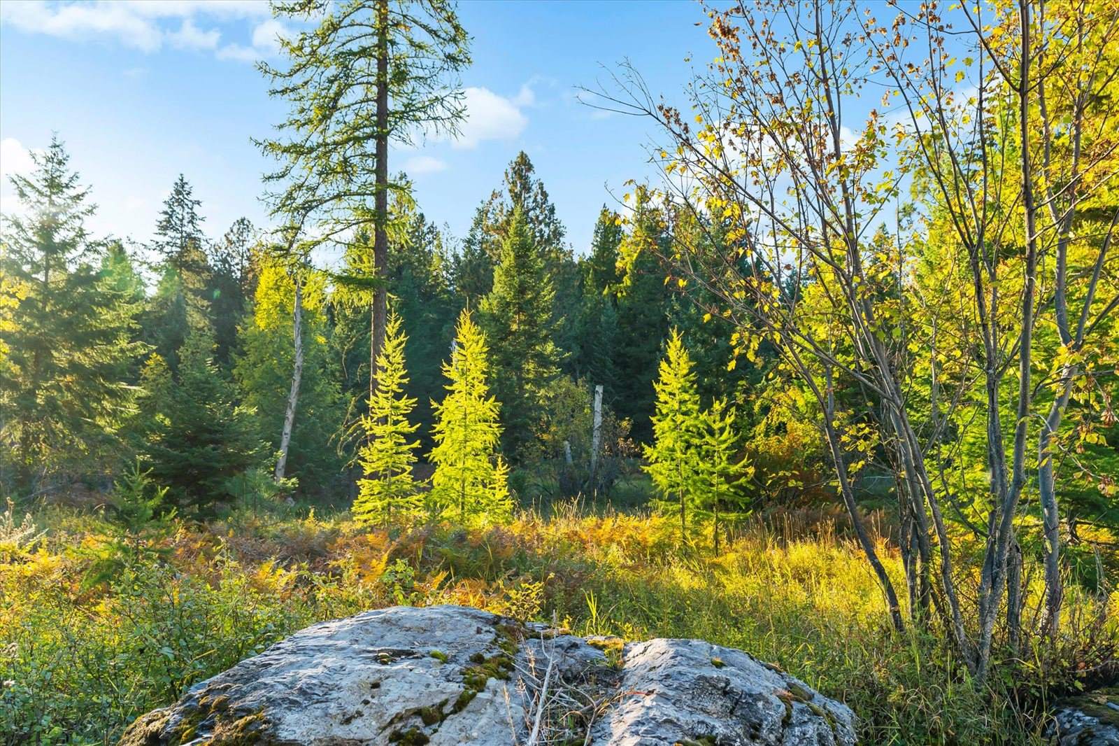 661 Latigo Lane, Bigfork, MT 59911