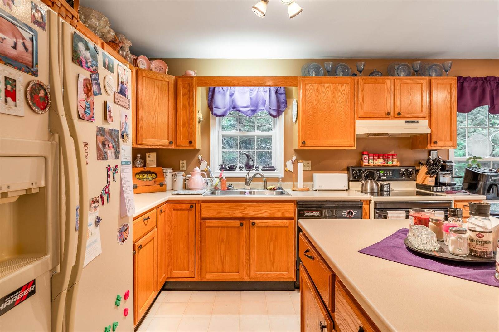 61 Griffin Drive, Milford, ME 04461