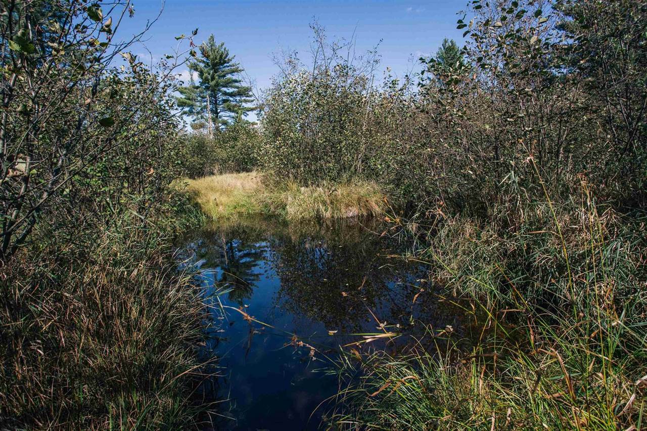 81 Acres ANDERSON ROAD, Neillsville, WI 54456