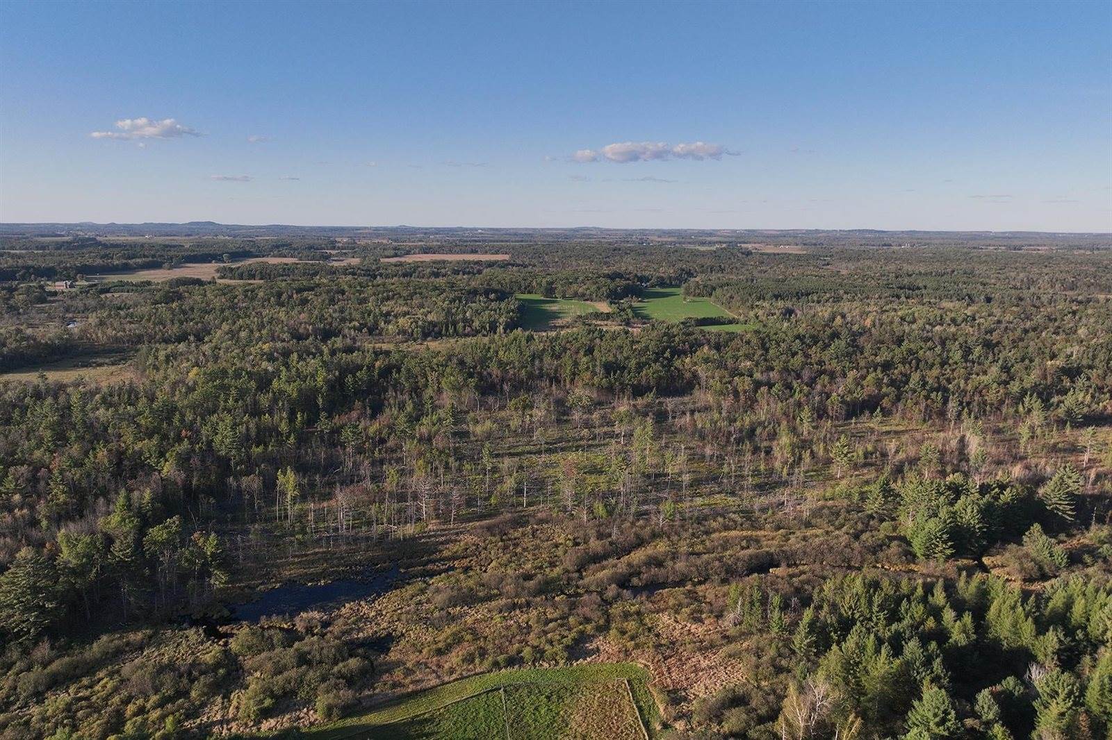 81 Acres ANDERSON ROAD, Neillsville, WI 54456
