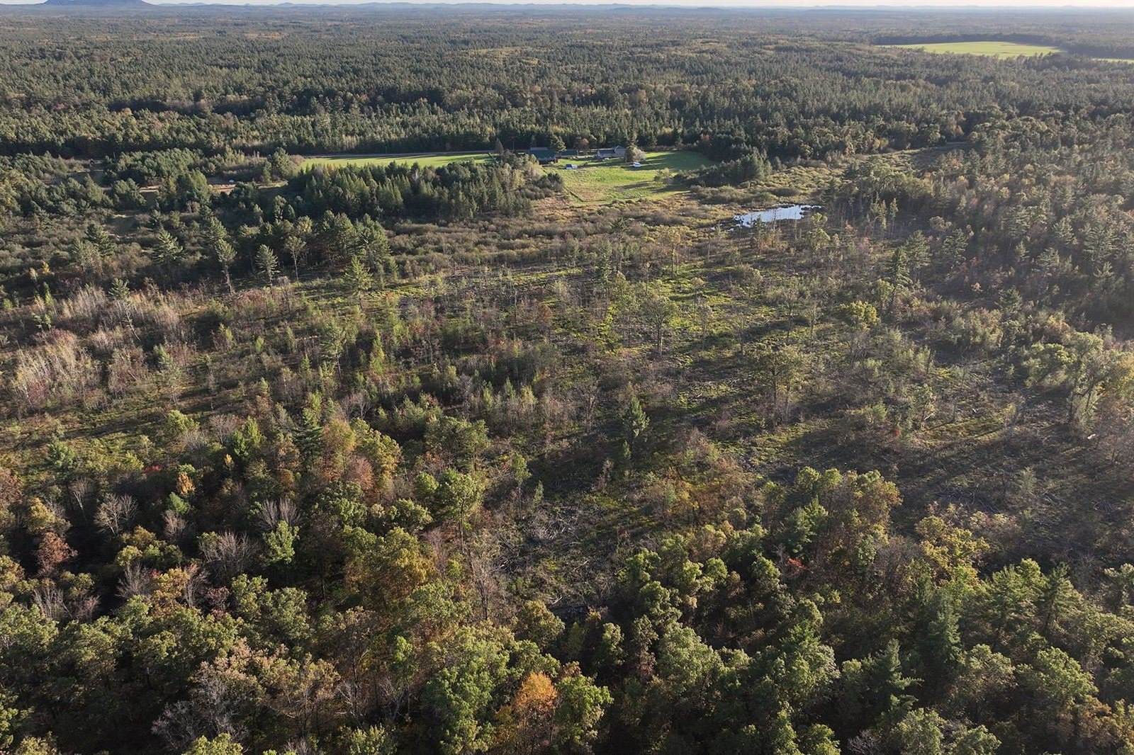 81 Acres ANDERSON ROAD, Neillsville, WI 54456