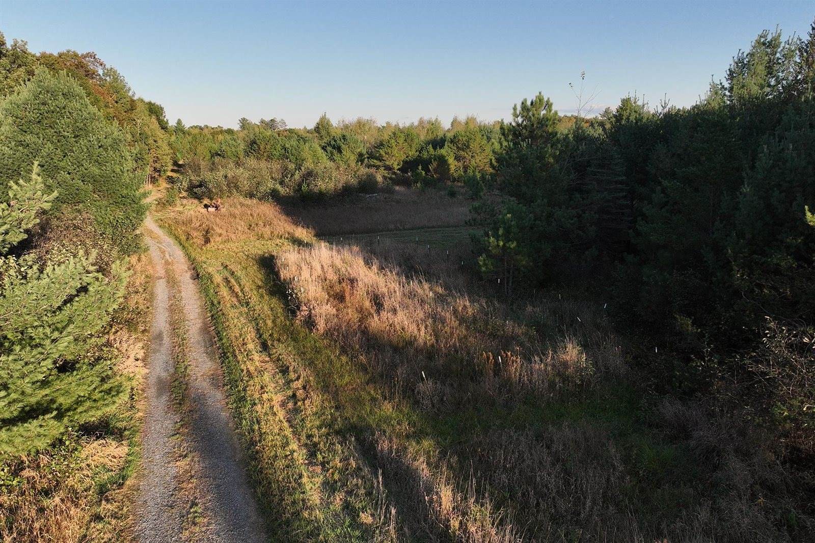 81 Acres ANDERSON ROAD, Neillsville, WI 54456