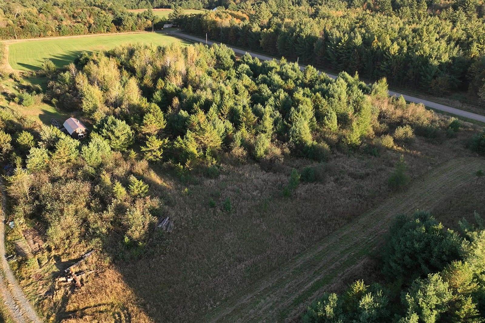 81 Acres ANDERSON ROAD, Neillsville, WI 54456