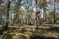 81 Acres ANDERSON ROAD, Neillsville, WI 54456