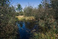 81 Acres ANDERSON ROAD, Neillsville, WI 54456