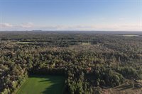 81 Acres ANDERSON ROAD, Neillsville, WI 54456