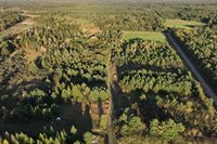 81 Acres ANDERSON ROAD, Neillsville, WI 54456
