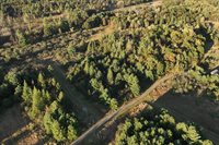 81 Acres ANDERSON ROAD, Neillsville, WI 54456