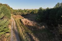 81 Acres ANDERSON ROAD, Neillsville, WI 54456