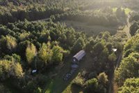 81 Acres ANDERSON ROAD, Neillsville, WI 54456