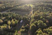 81 Acres ANDERSON ROAD, Neillsville, WI 54456