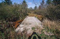 81 Acres ANDERSON ROAD, Neillsville, WI 54456