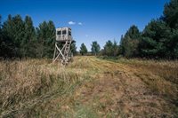 81 Acres ANDERSON ROAD, Neillsville, WI 54456