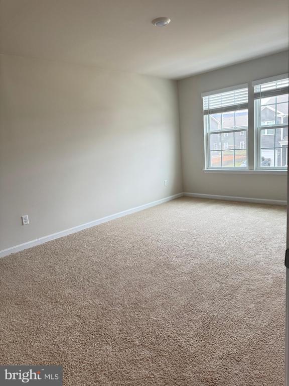 179 Caterpillar Dr, Luray, VA 22835