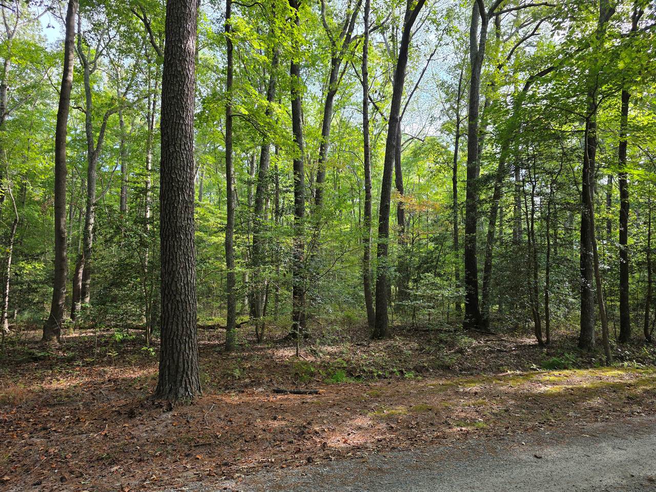 00 Bermuda Road, Lancaster, VA 22503