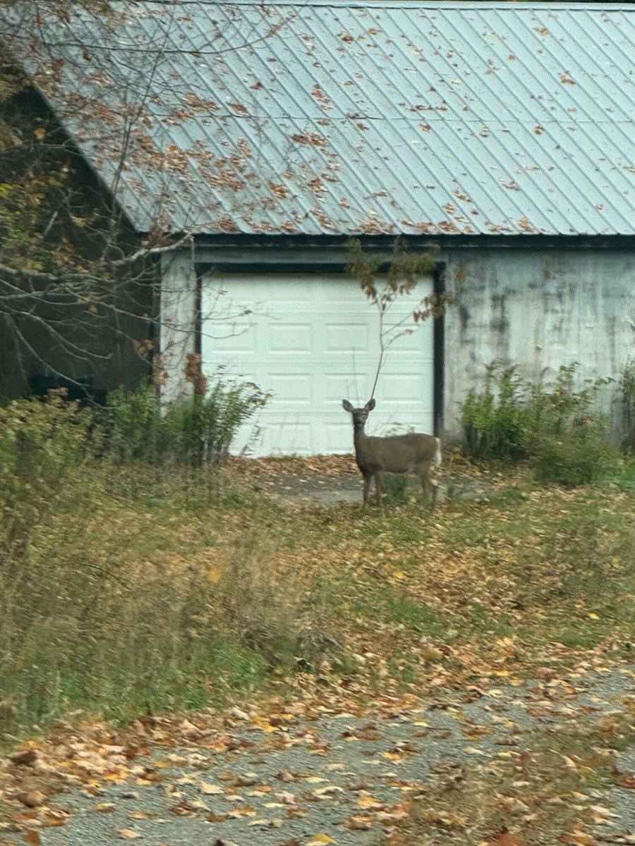 176 Millet Road, Garland, ME 04939