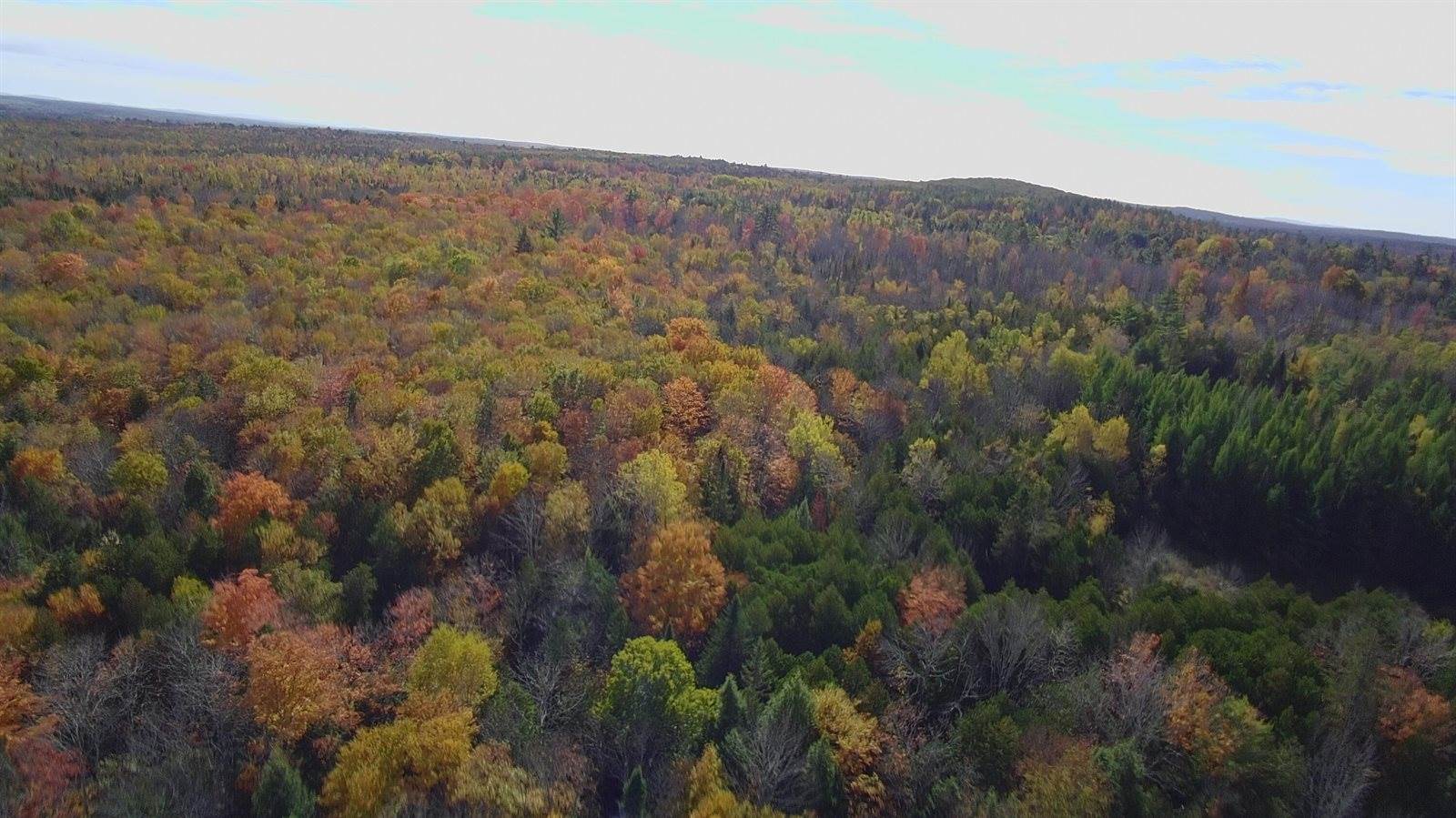 176 Millet Road, Garland, ME 04939