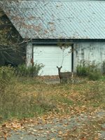 176 Millet Road, Garland, ME 04939