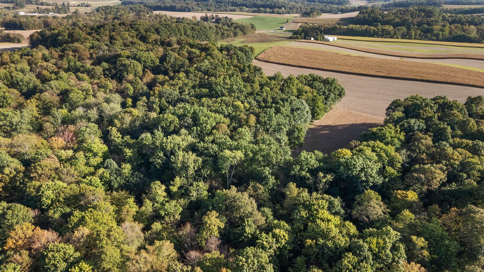 4169 St Rt 97, Butler, OH 44822