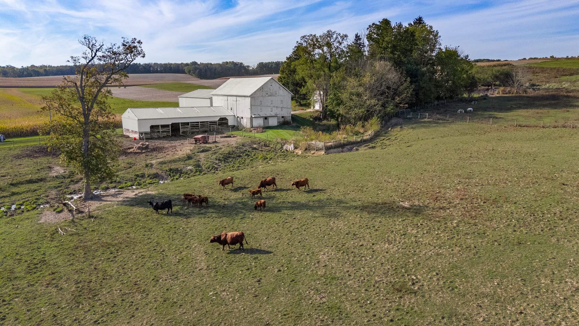 4169 St Rt 97, Butler, OH 44822