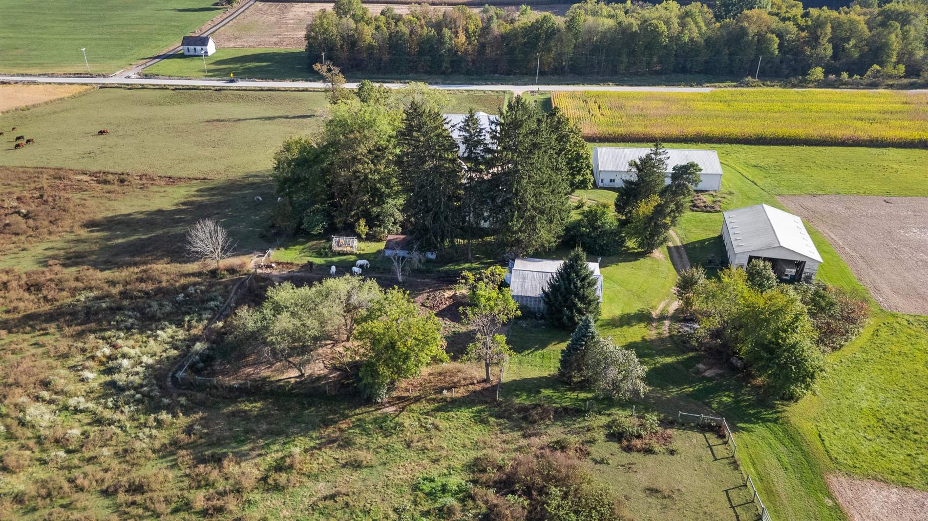 4169 St Rt 97, Butler, OH 44822