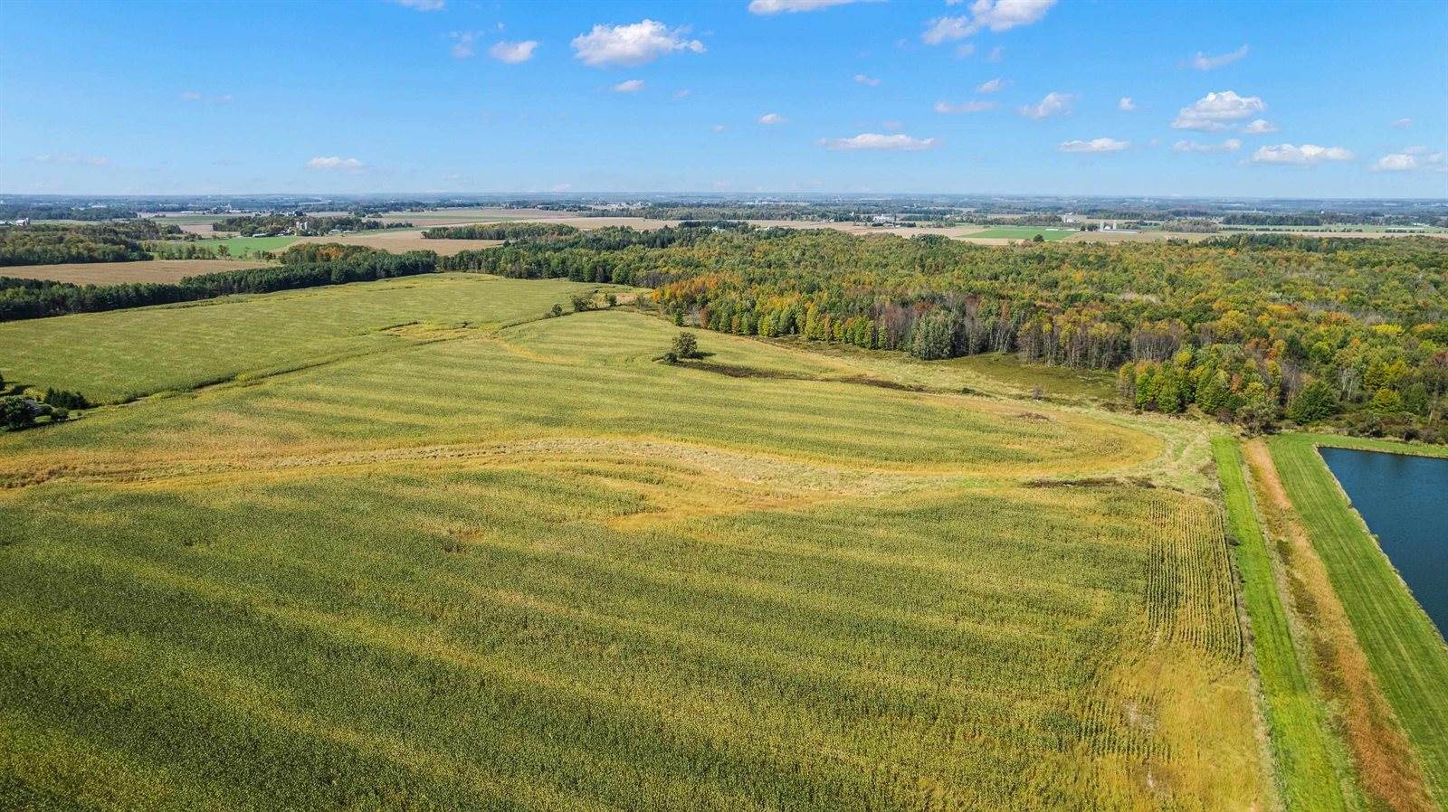 2300078 Connor Street, Auburndale, WI 54412