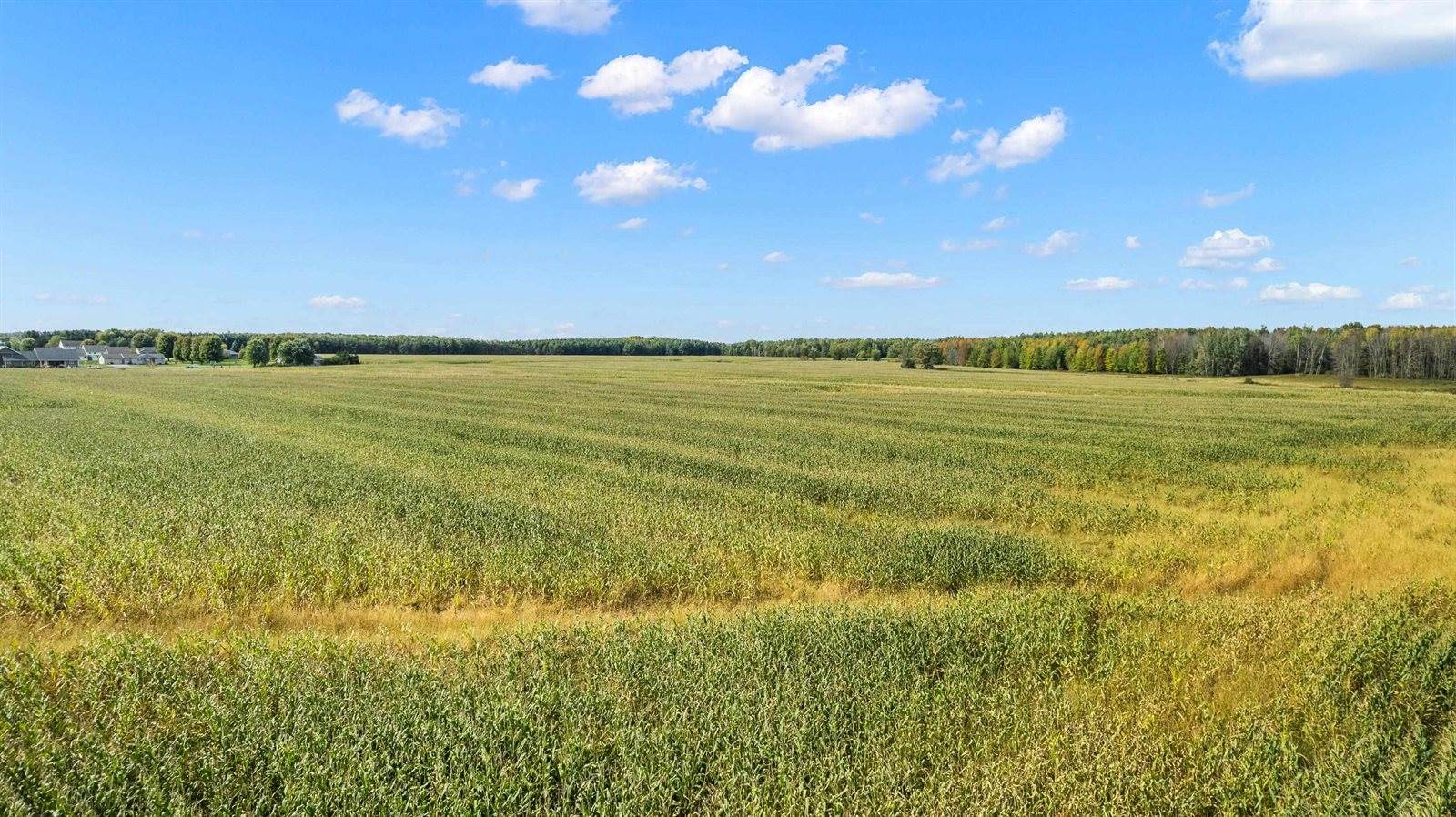 2300078 Connor Street, Auburndale, WI 54412