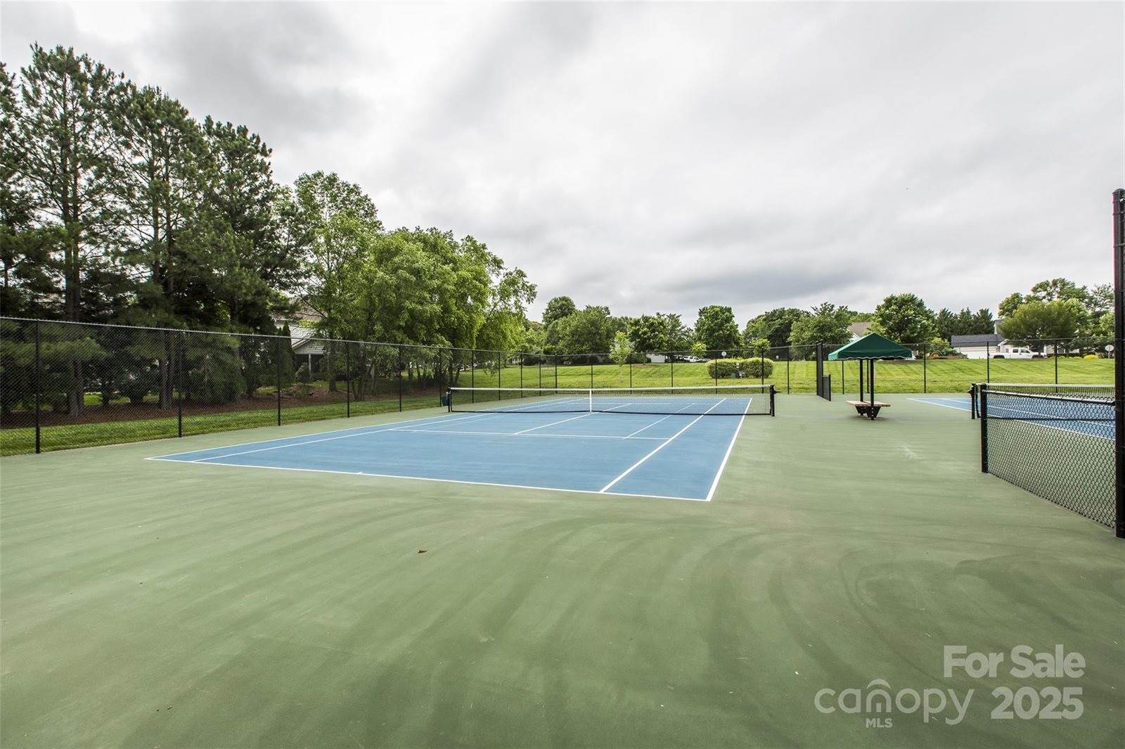 18861 Vineyard Point Lane, Cornelius, NC 28031