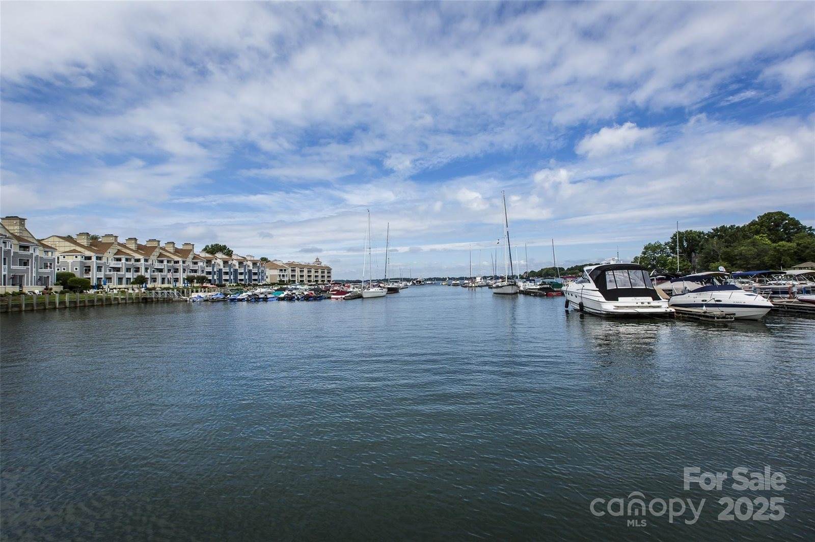 18861 Vineyard Point Lane, Cornelius, NC 28031