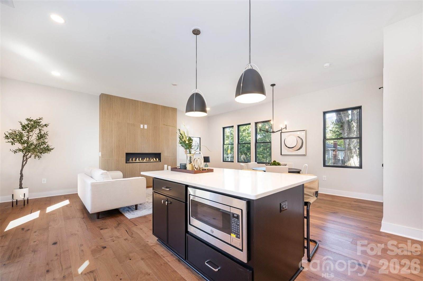 1121 Condon Street, Charlotte, NC 28216