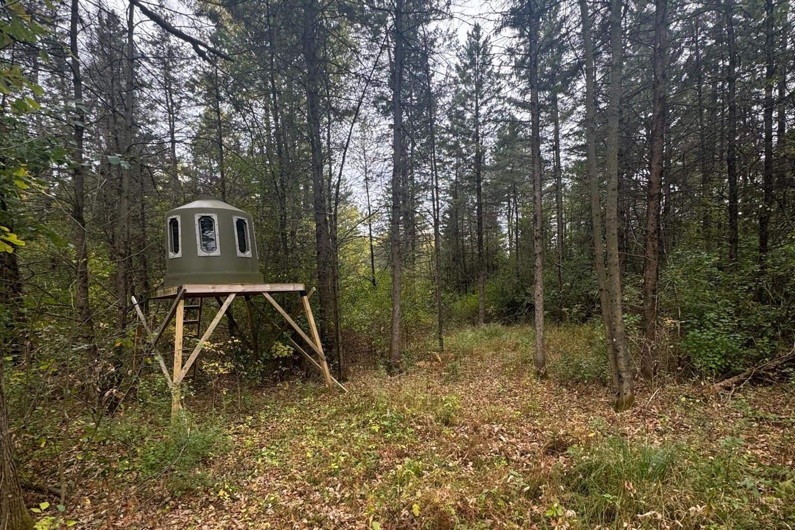 10778 Lincoln Avenue, Marshfield, WI 54449