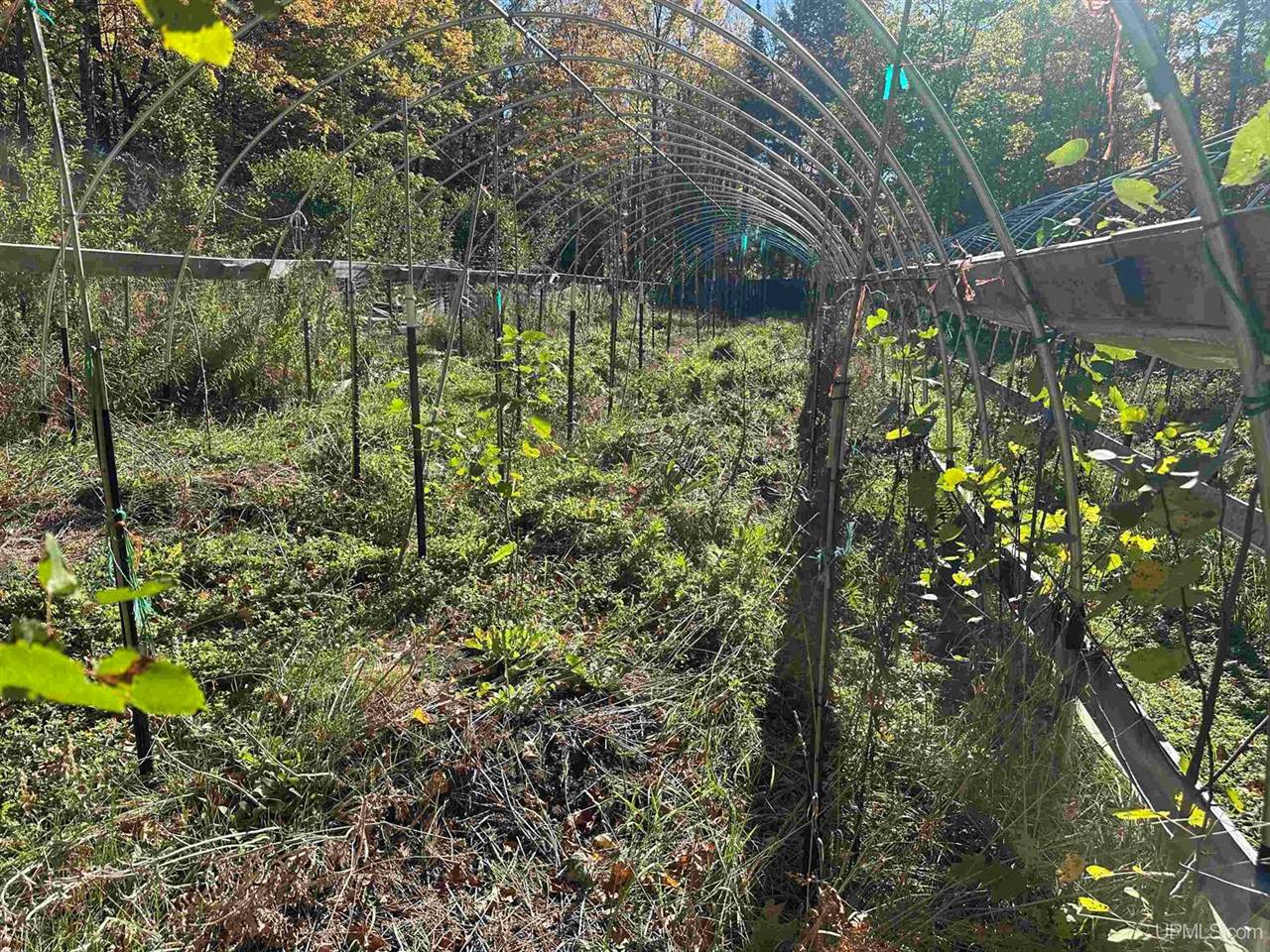 TBD Remington Road, Marquette, MI 49855