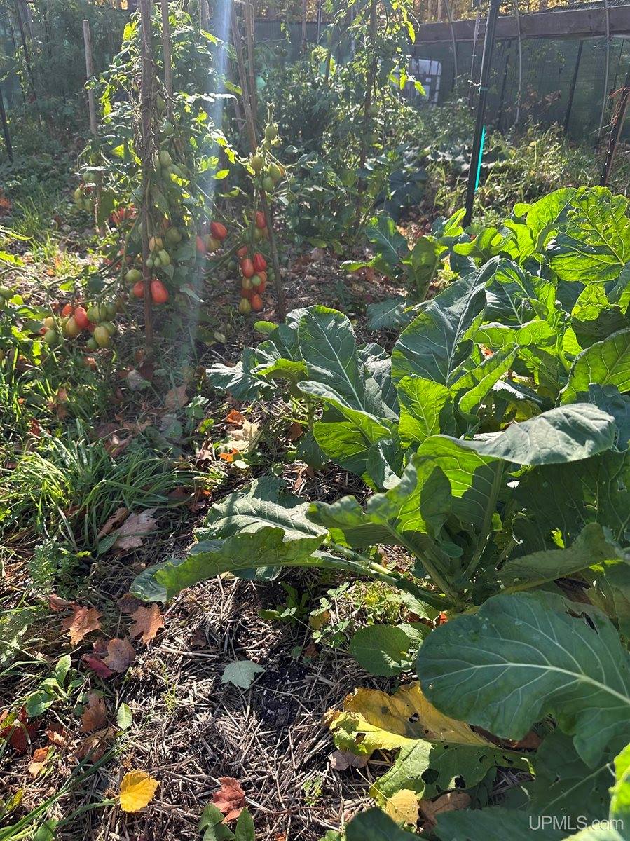 TBD Remington Road, Marquette, MI 49855