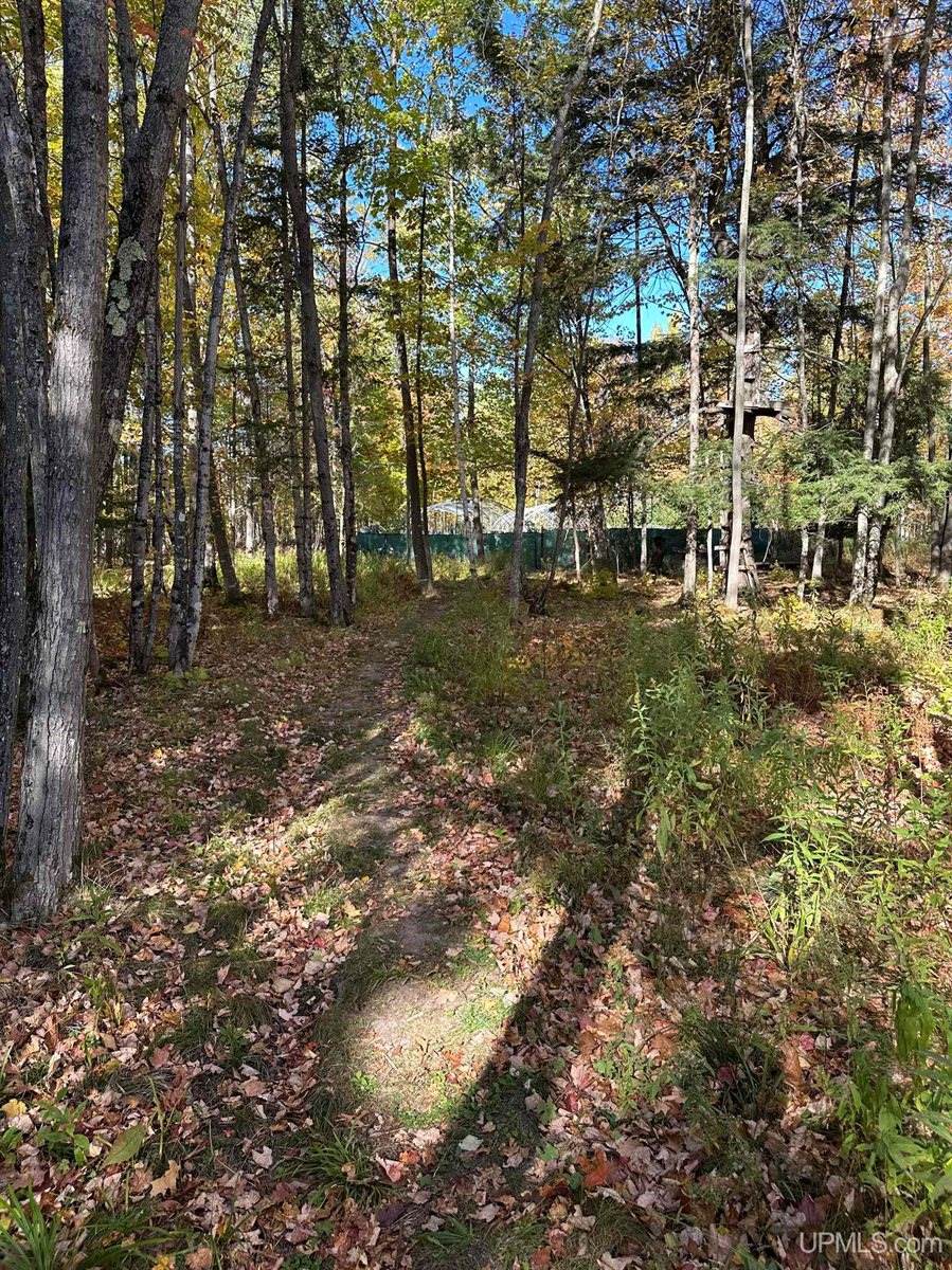 TBD Remington Road, Marquette, MI 49855