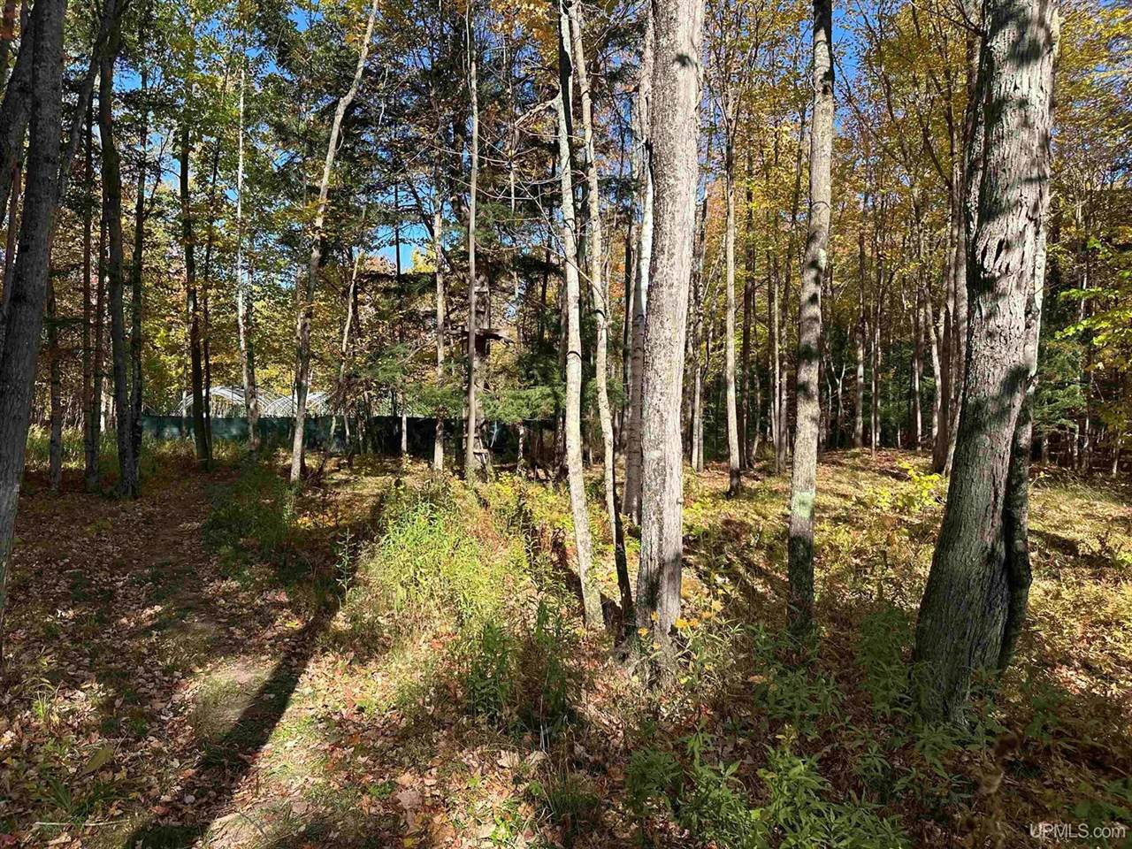 TBD Remington Road, Marquette, MI 49855