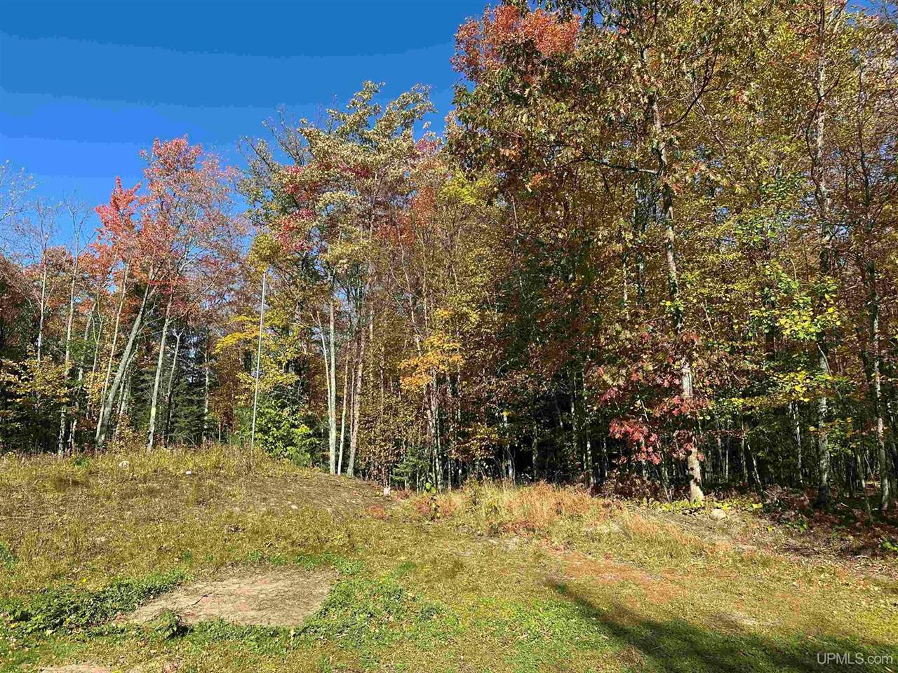 TBD Remington Road, Marquette, MI 49855