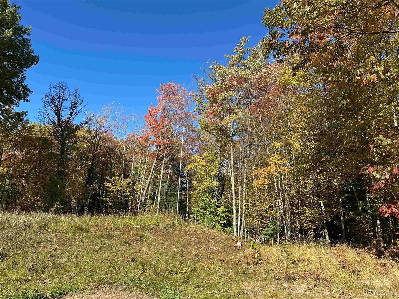 TBD Remington Road, Marquette, MI 49855