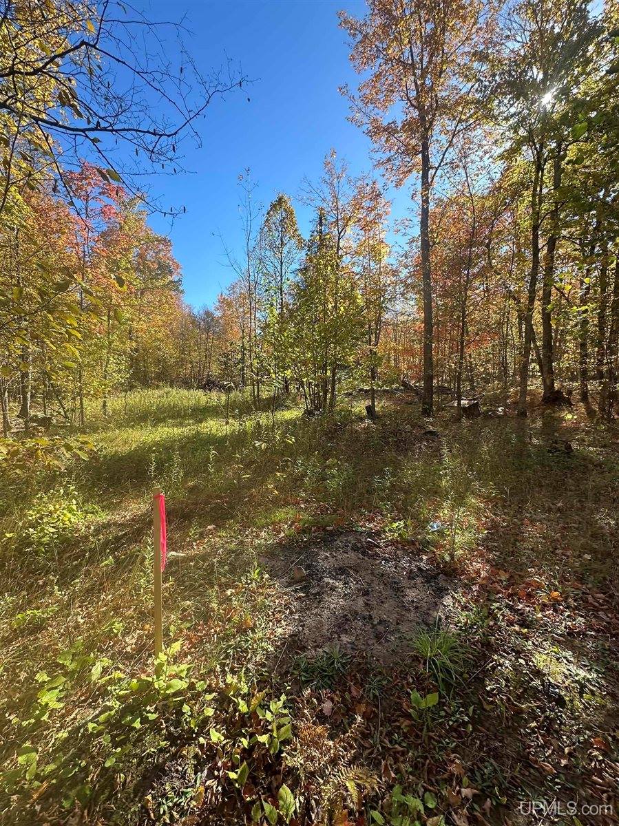 TBD Remington Road, Marquette, MI 49855