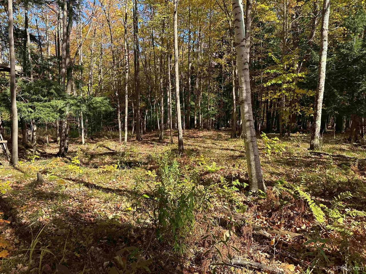 TBD Remington Road, Marquette, MI 49855