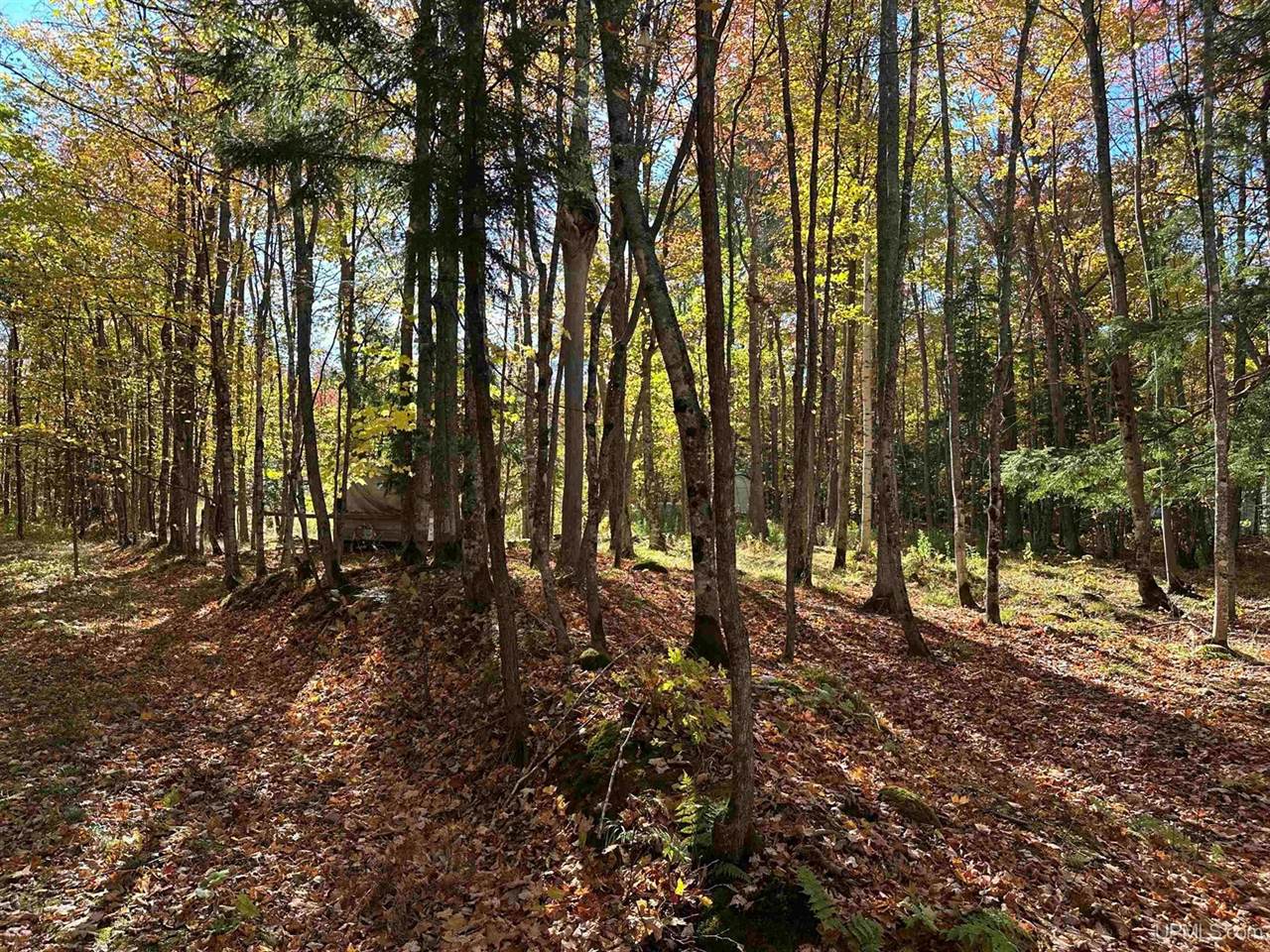 TBD Remington Road, Marquette, MI 49855