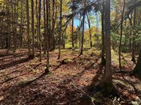 TBD Remington Road, Marquette, MI 49855