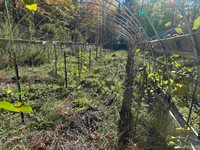 TBD Remington Road, Marquette, MI 49855