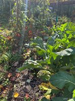 TBD Remington Road, Marquette, MI 49855