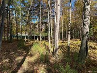 TBD Remington Road, Marquette, MI 49855
